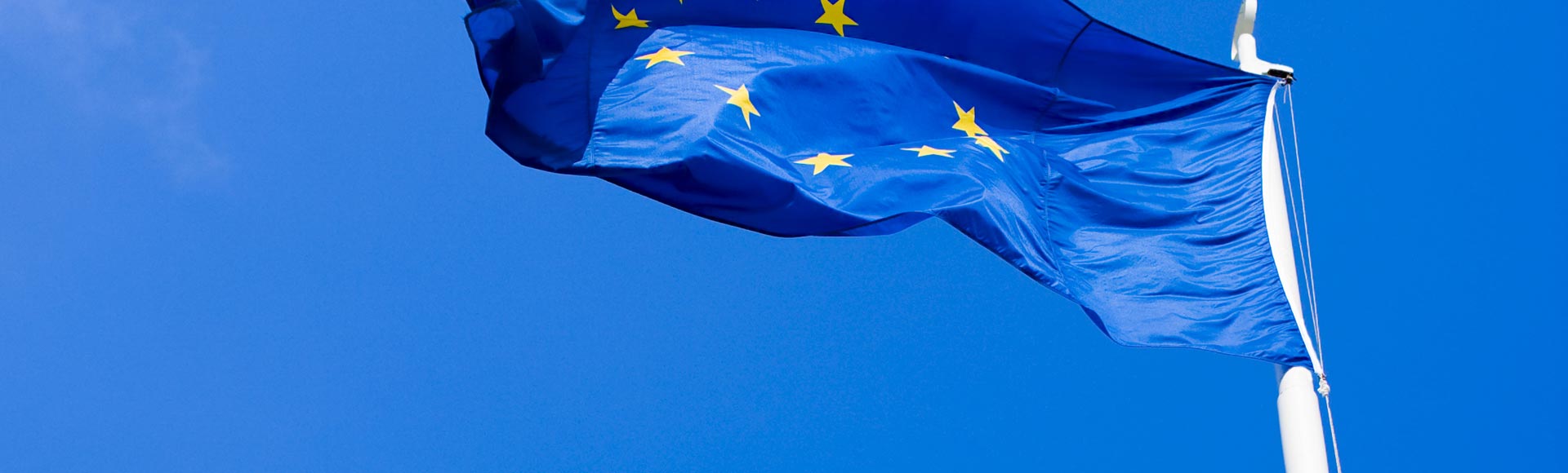 La Directica de Distribución publicada en el Boletín Oficial de la Unión Europea